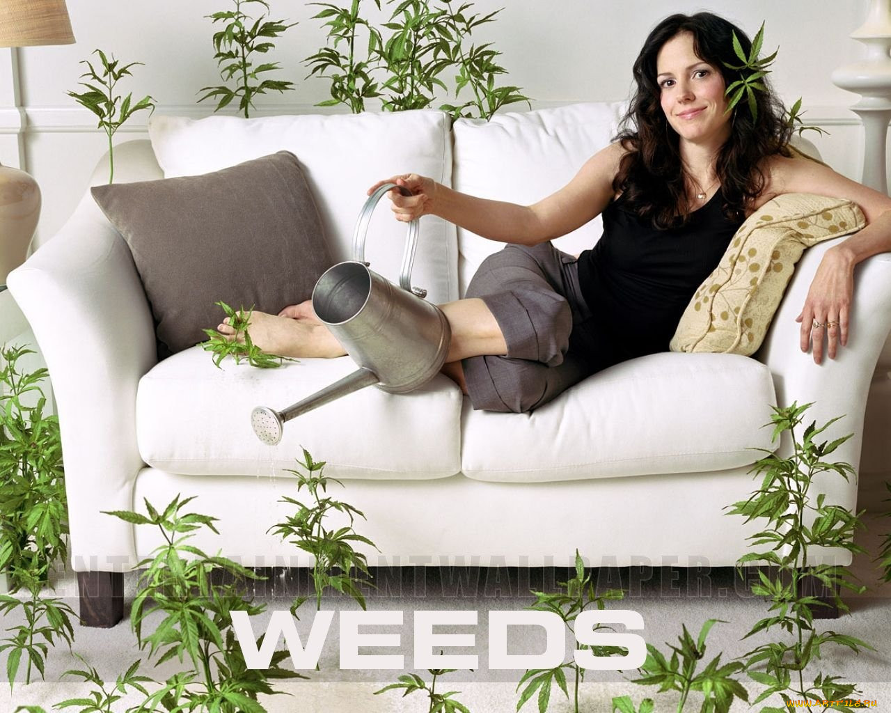 , , weeds
